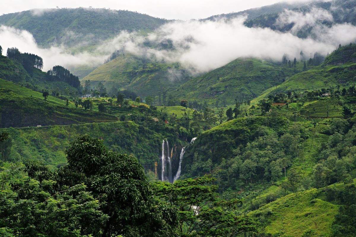 Day 4: Nuwara-Eliya